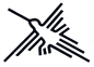 NAZCA WEAR